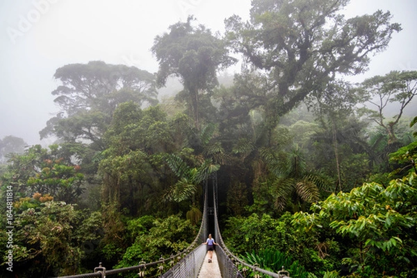 Fototapeta Girl on a suspension bridge in Costa Rica