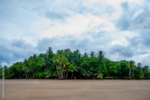 Fototapeta Girl standing in front of the jungle on a beach