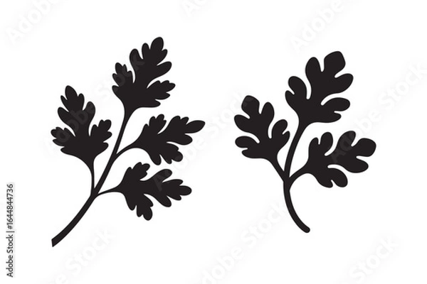 Fototapeta Set of Parsley Herb Leaves Silhouette - Aromatic Culinary Vector