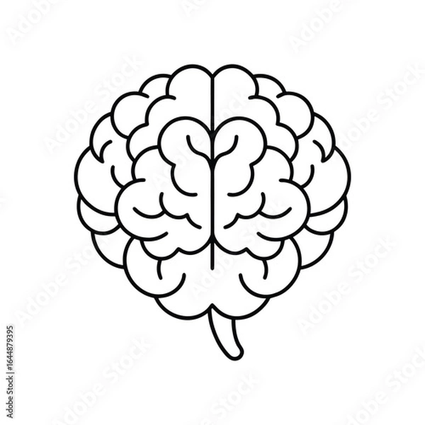 Fototapeta Brain line art, brain line art vector