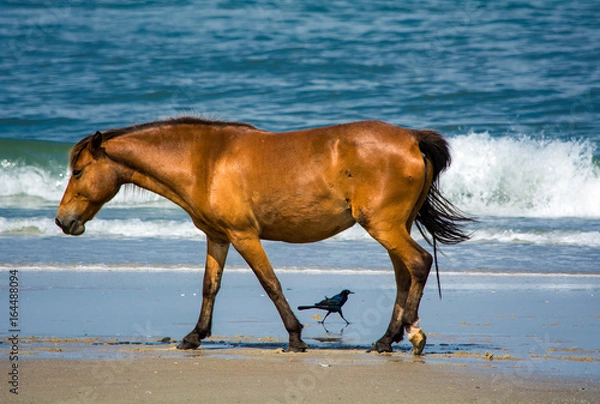 Fototapeta Crossing Paths