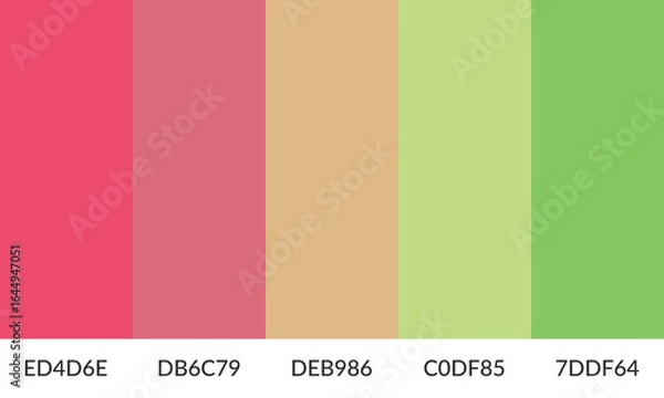 Fototapeta Abstract color palette banner versatile collection of shade and swatch