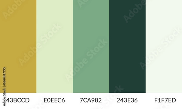 Fototapeta Abstract color palette banner versatile collection of shade and swatch