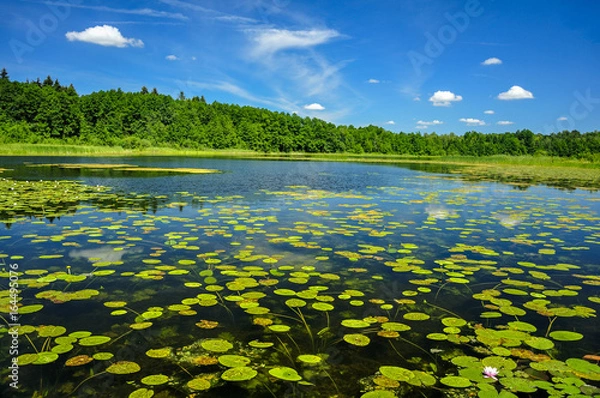 Fototapeta Jezioro i słońce