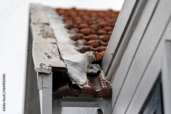 Obraz Closeup of rotting wood on house roof, decay, weathered texture, structural damage