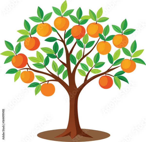 Obraz orange tree with fruits