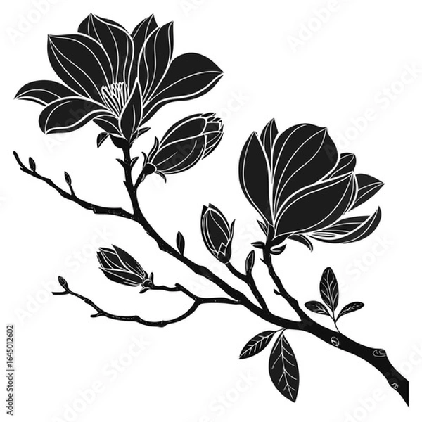 Obraz black and white floral background