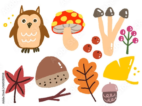 Obraz set of autumn elements 가을 요소 디자인 엘리먼트 부엉이 버섯 낙엽 도토리