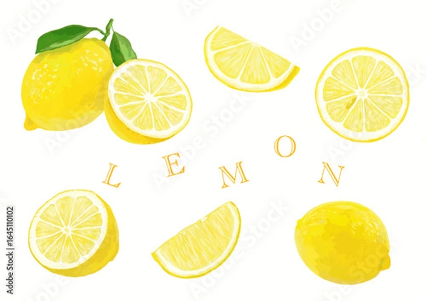 Obraz レモンの素材