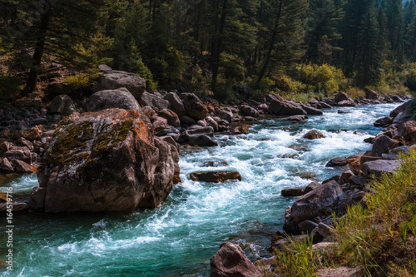 Fototapeta Rugged Mountain Stream. Giant Boulder in Fresh Water. Gallatin, Montana. Impressive Copy Space.