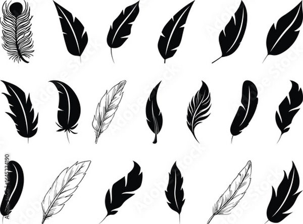 Fototapeta Feather EPS, Vector File Black and White