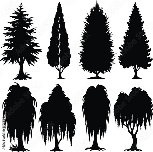 Fototapeta Silhouette Tree Vector: Evergreen, Conifer, Willow Tree Silhouettes, Nature Graphics, Tree Icons