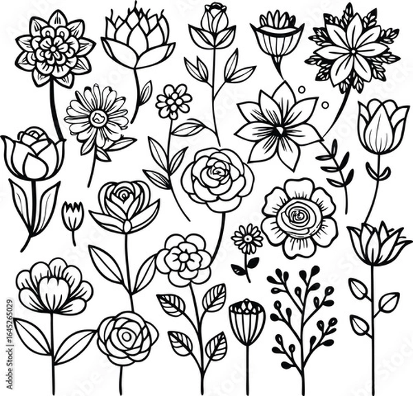 Fototapeta Black and White Flower Line Art Collection: Floral Vector Illustration Set for Design Projects