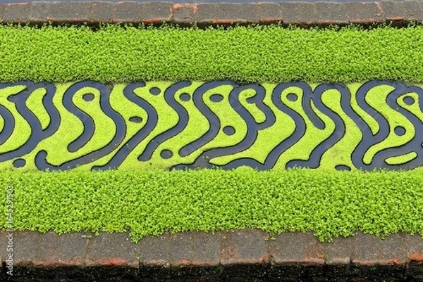Fototapeta Green trough with patterned dark shapes