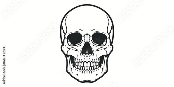 Obraz Human Skull Vector Illustration Grim Anatomy Death Concept Graphic Design White Background