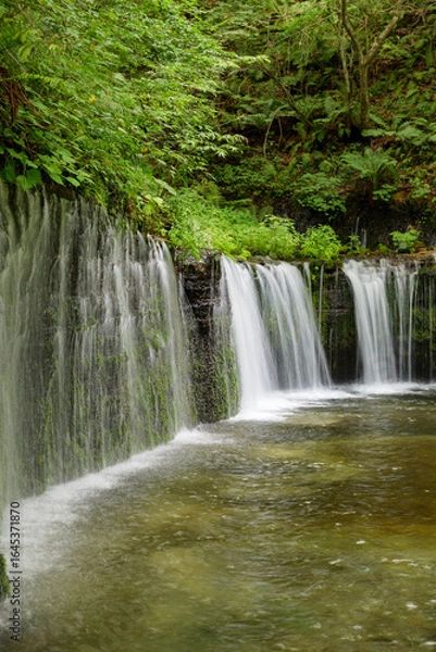 Fototapeta 新緑に囲まれた白糸の滝のやさしい流れ