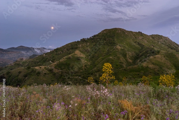 Obraz La luna all'orizzonte