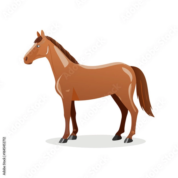 Fototapeta Side View Of A Shiny Brown Horse Standing On A Transparent Background
