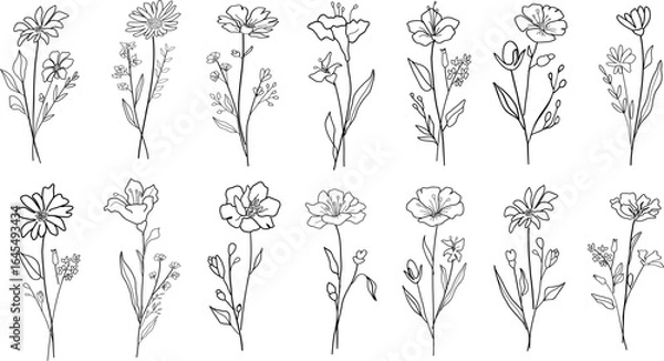 Fototapeta Hand drawn line art botanical floral bouquets. Flower set vector illustration for label, invitation, frame, logo.