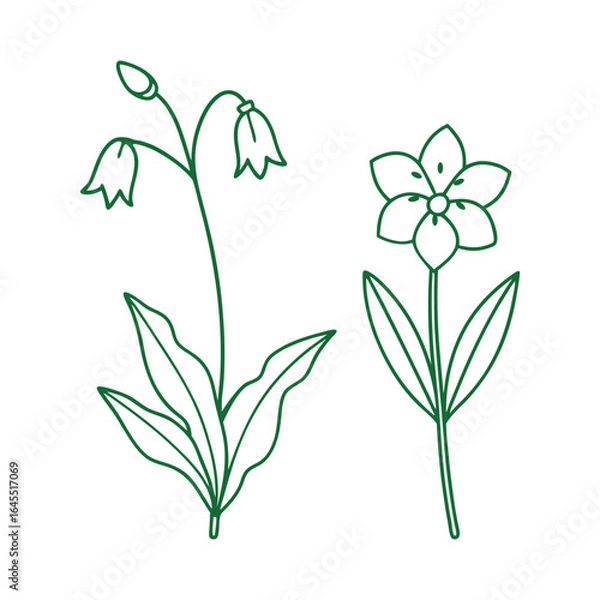 Obraz Elegant Flower Line Art Collection for Floral Designs.