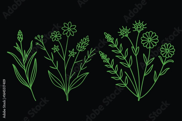 Obraz Vibrant Floral Line Art Collection.