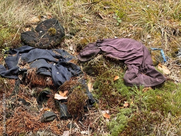 Fototapeta Discarded Clothing and Personal Items Left on Forest Floor in a Natural Area During Autumn Season