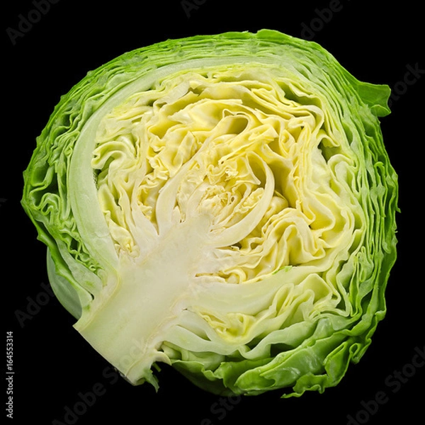 Obraz Salad young cabbage closeup
