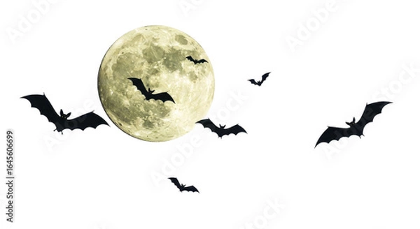 Fototapeta Bats silhouetted against a large, pale full moon in a night sky.