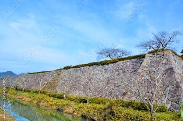 Obraz 篠山城跡 二の丸石垣と内堀