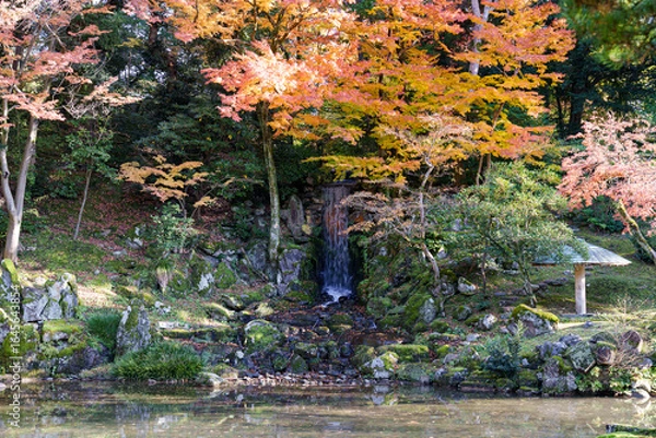 Fototapeta 紅葉真っ盛りの金沢　日本三名園のひとつ兼六園