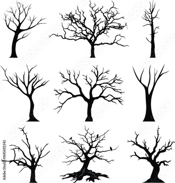Obraz dead tree set, leafless tree set, 2d vector illustration, black tree set