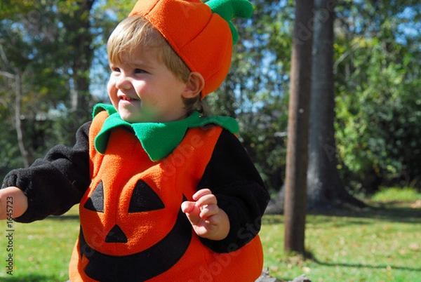 Fototapeta pumpkin face on the run