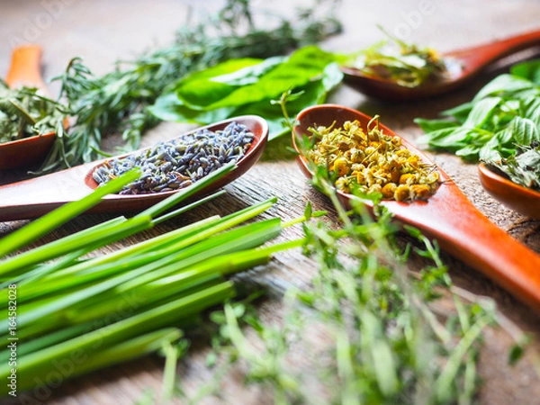 Fototapeta ハーブ