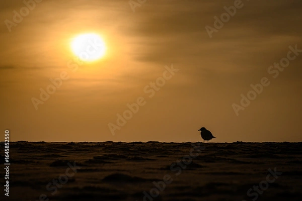 Obraz Sonnenuntergang