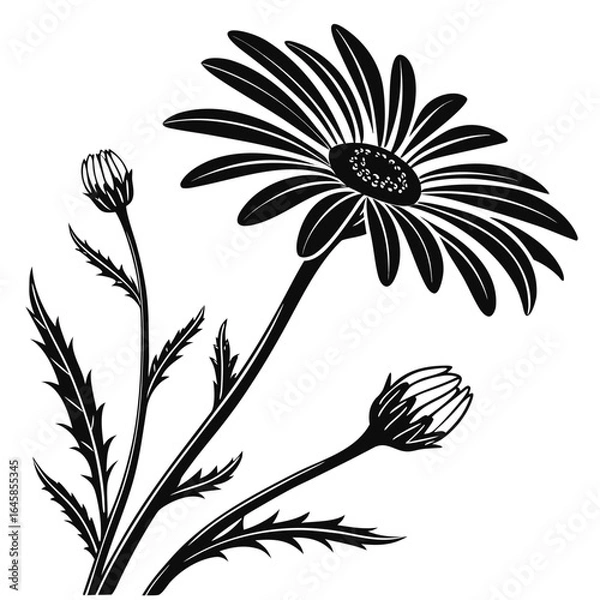 Obraz black and white flowers