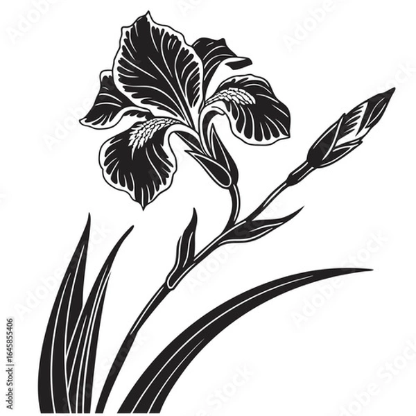 Obraz black and white flowers