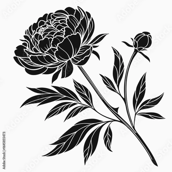 Obraz black and white flower