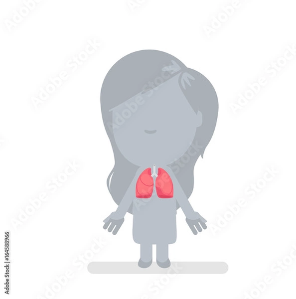 Obraz anatomy-isolated-08