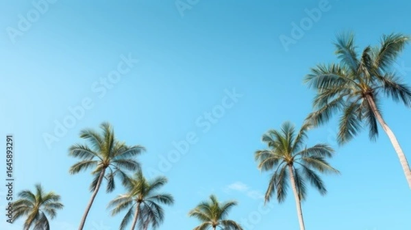 Fototapeta A group of palm trees against a clear blue sky