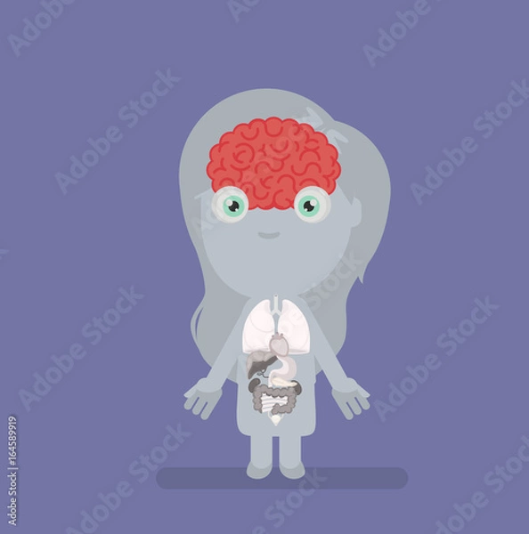 Obraz Human body anatomy vector illustration