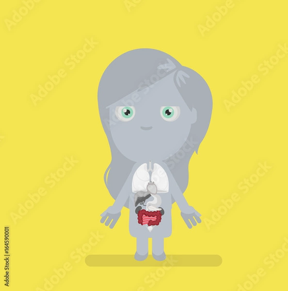 Obraz Human body anatomy vector illustration