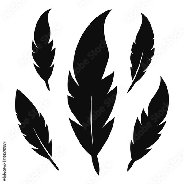 Fototapeta silhouette set of feather