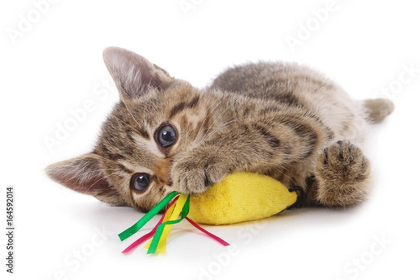 Fototapeta chaton jouant avec une souris en peluche jouet