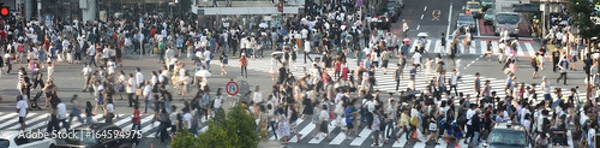 Fototapeta 日本の東京都市景観「渋谷の交差点」