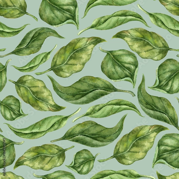 Fototapeta Seamless watercolor background of green lemon tree leaves on light green realistic botanical hand painting