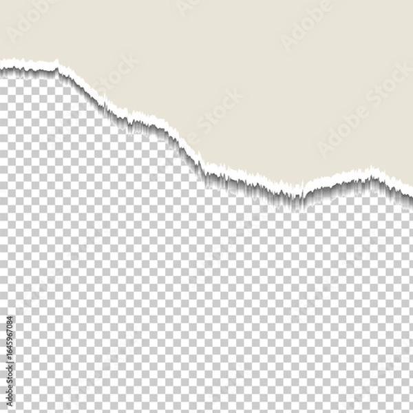 Obraz Torn Paper Edge on Transparent Background