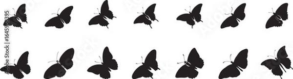 Obraz Collection of black vector silhouettes of flying birds, wings, and wildlife