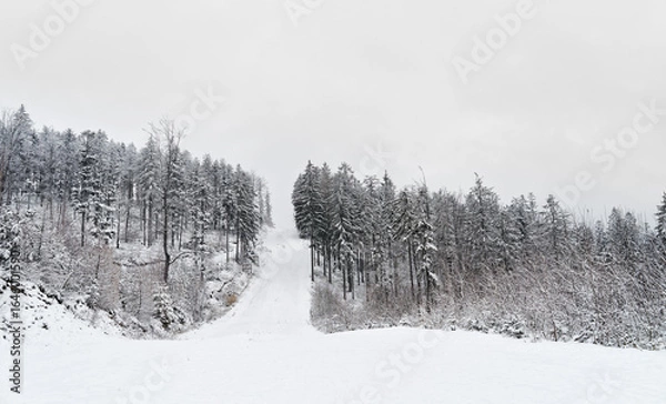 Obraz Beautiful winter mountain landscape. Winter landscape with fresh snow in a mountain forest. 