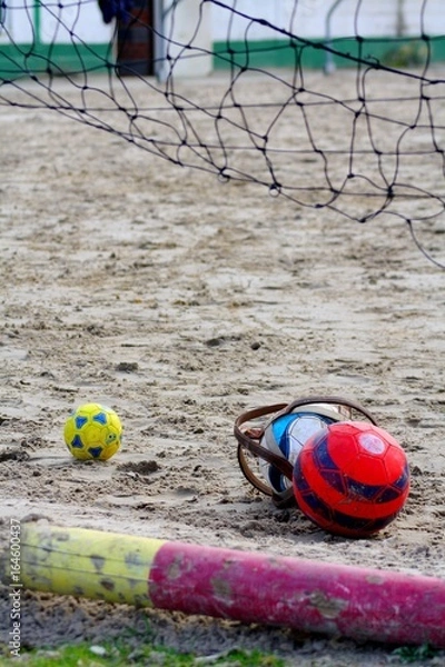 Fototapeta horseball