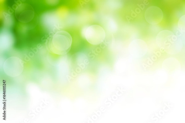 Obraz Green bokeh abstract background blur